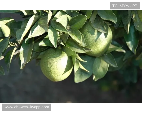 ¦ó+¡-+Â=Á-©¯ÎÚÍ»ÐÁ-À¢+ÎÓ©³ÃÕ+·ú¼+¦+¦©³ÍÁÁ+ã+¦²